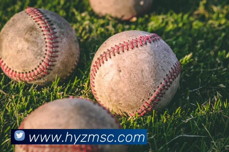 mksports足球赛程平台生态图